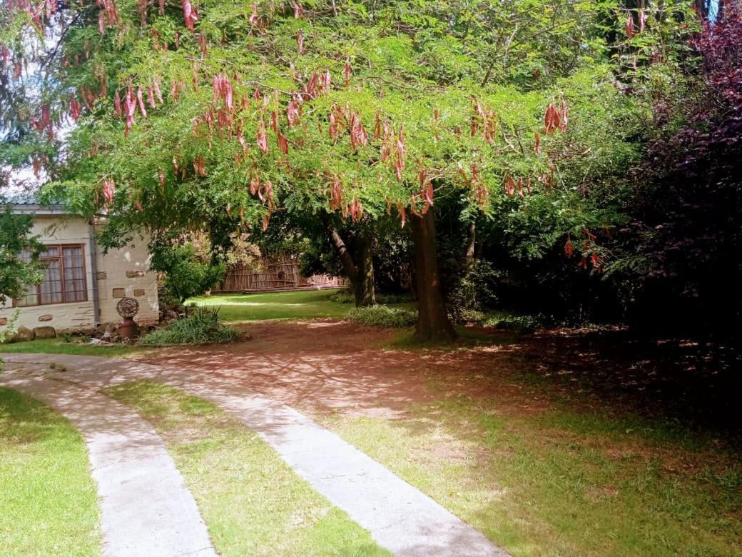 האריסמית Rheola'S Guest Cottage מראה חיצוני תמונה