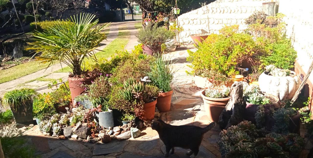 האריסמית Rheola'S Guest Cottage מראה חיצוני תמונה